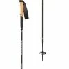 Black Diamond Trekking Poles Alpine Carbon Z Trekking Poles
