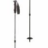 ALPS Mountaineering Trekking Poles Explorer Trekking Pole