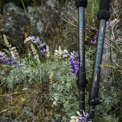 ALPS Mountaineering Trekking Poles Momentum Trekking Poles -Gsi Outdoor Shop CHALIGGRE D5