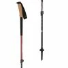 Black Diamond Trekking Poles Trail Ergo Cork Trekking Poles